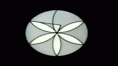 geometry of circles gif
