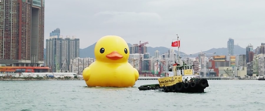 duck in hong kong harbor