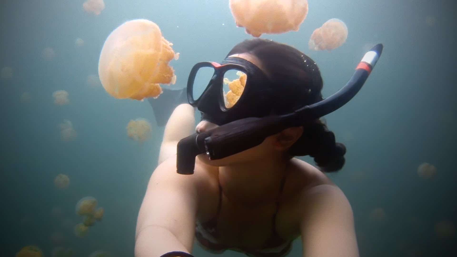 swimming in jellyfish lake