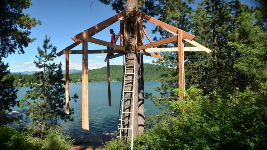 starting the treehouse