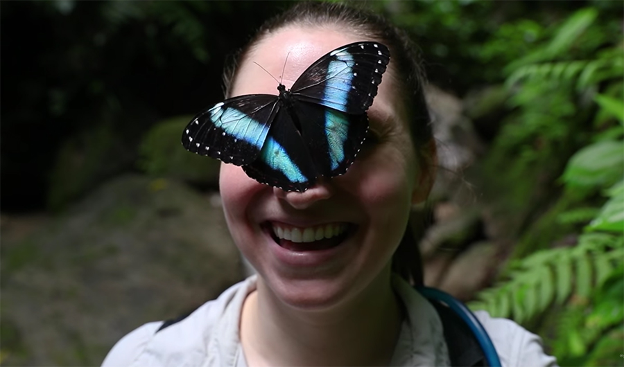 Dr. Susan Finkbeiner with a blue morpho buttefly