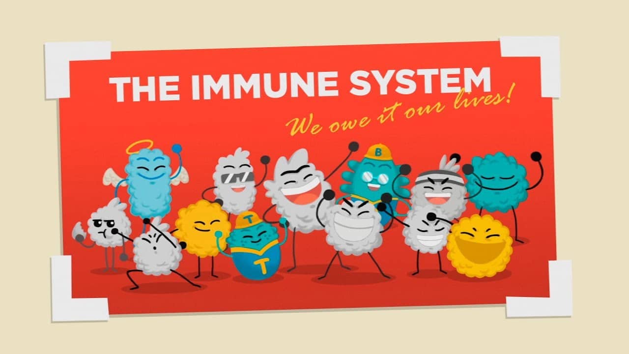 How does your immune system work? | The Kid Should See This