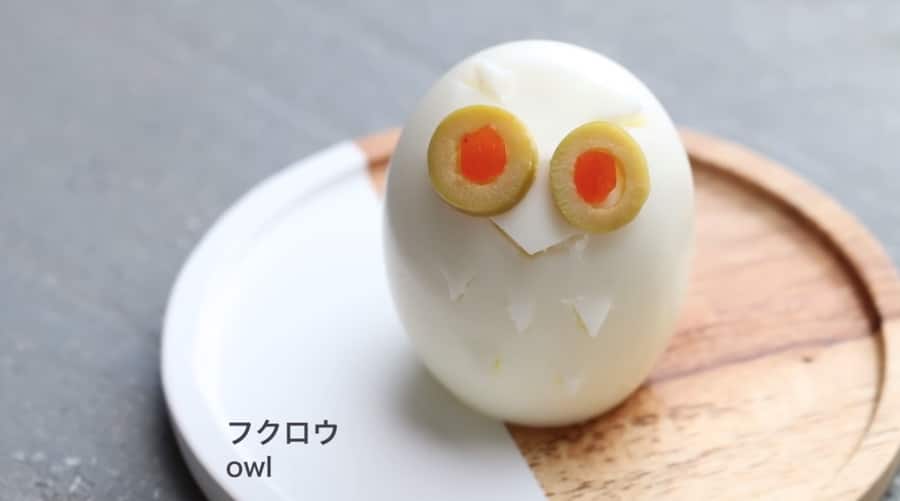 cute egg owl