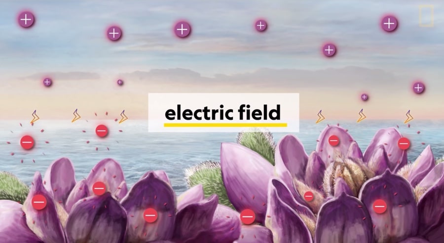electric field 