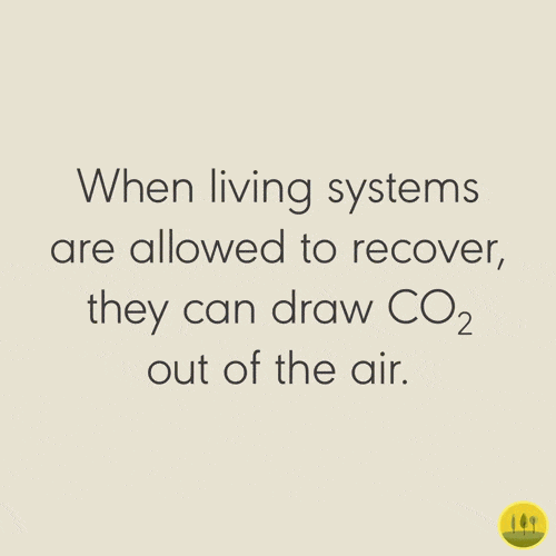allow living systems to recover
