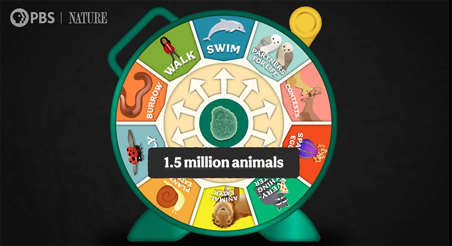 1.5 million animals
