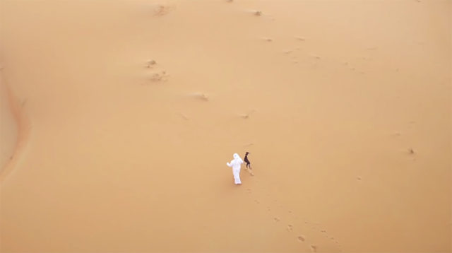 dog and owner walking in the desert sand, filmed from above