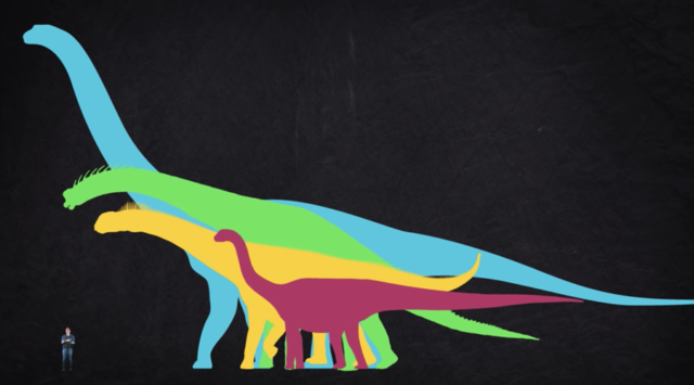 sauropod sizes