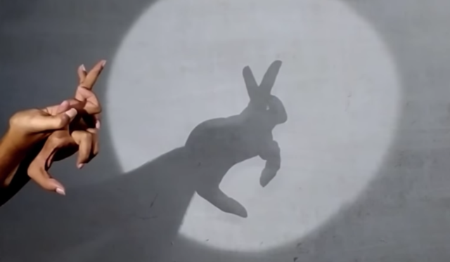 Shadowgraphy: Guess the hand shadow puppet animals | The Kid Should See This