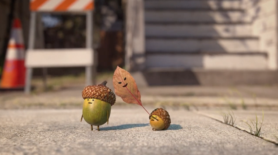 acorns with a leaf