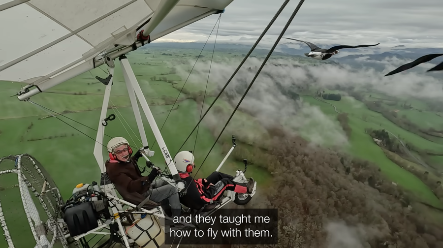 microlight from above