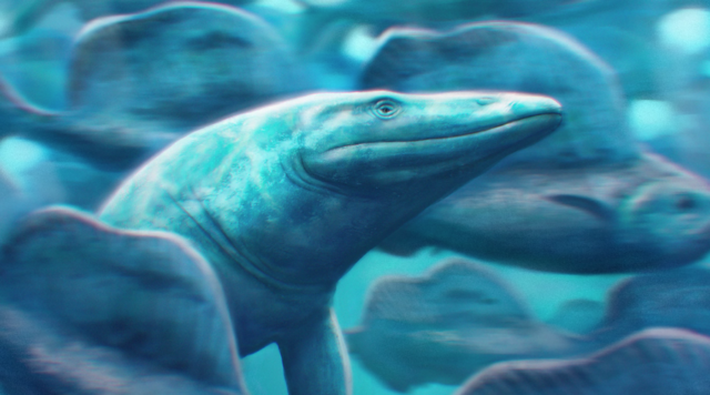 mosasaur marine mammal