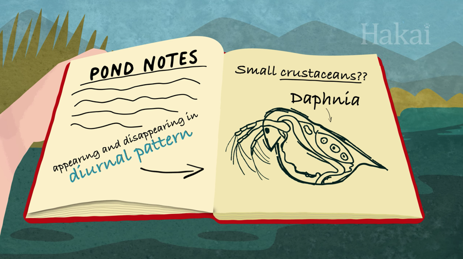 pond notes