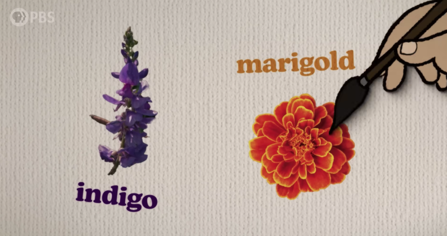 indigo and marigold