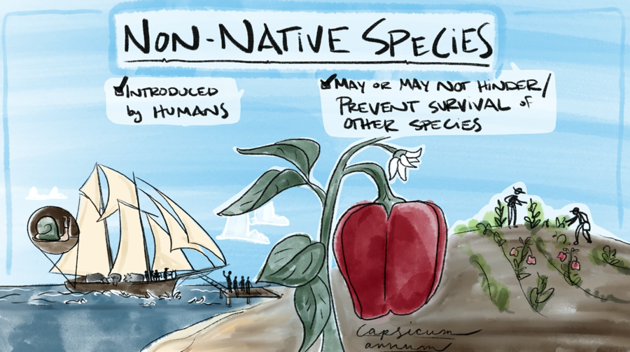 non-native species