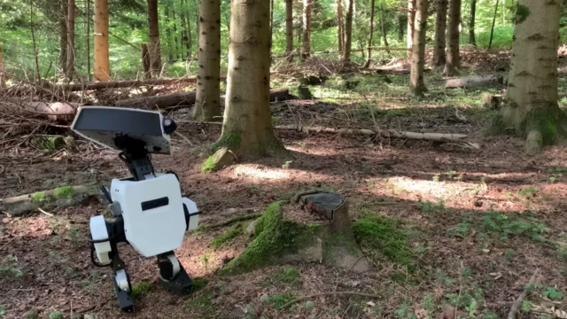 droid in a Swiss forest